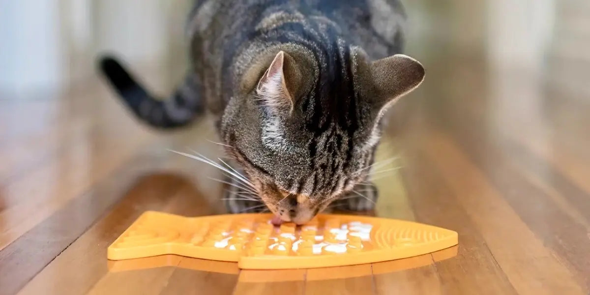 Jouets d'occupation pour chats