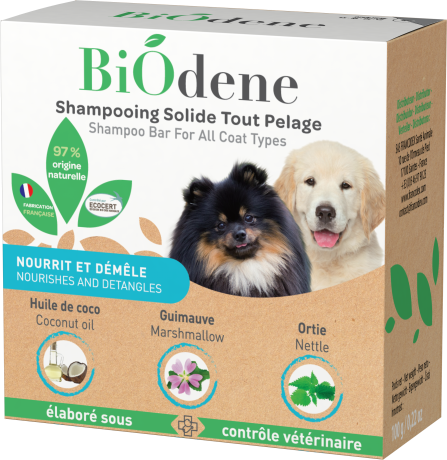 Shampooing Solide - chiens